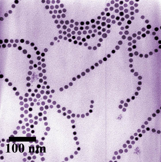 Colorized transmission electron micrograph showing chains of cobalt nanoparticles. Image credit: G. Cheng, A.R. Hight Walker/NIST