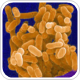 Cubist receives FDA QIDP designation for ceftolozane/tazobactam to treat HABP/ VABP, cUTI