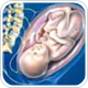 Disruption of brain developmental processes caused by premature birth can affect cognitive function