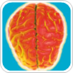 Diachisis can occur during subacute phase of ischemic stroke, find USF researchers