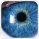 Optogenetic Therapies for Vision workshop to be held on June 1