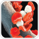 Study shows co-administration of Cialis, finasteride meets primary endpoint in men with LUTS/BPH