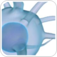 NW Bio starts Phase III clinical trial with DCVax-L for brain cancer at King's College Hospital in UK