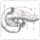 AGA researchers to present exciting data on GI disorders at DDW 2013