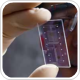 iTube device can detect allergens in food samples
