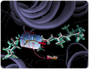 Supercomputer used to unlock benefits of toxic bacteria