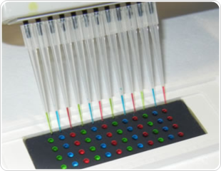 Biochip for investigating the effect of drugs on cancer stem cells