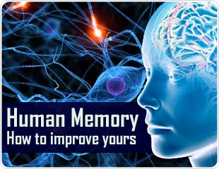 Human memory: how to improve yours