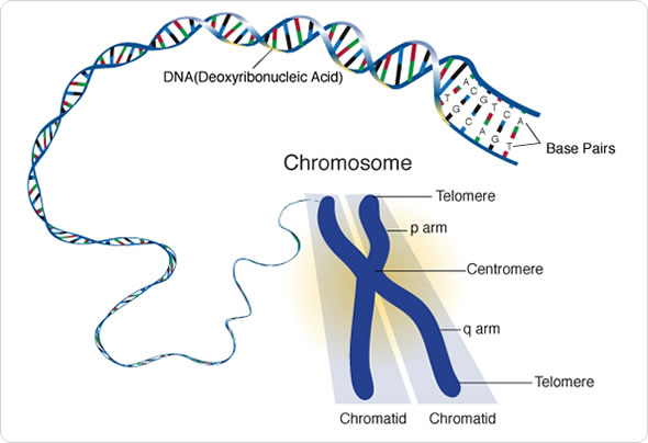 cowden syndrome #11