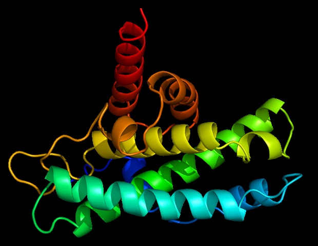 Study reveals protein structure similarities in Alzheimer's and Down syndrome