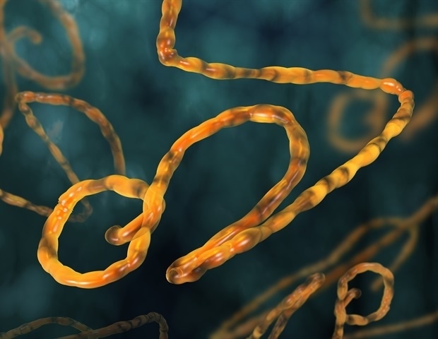 Kent researchers identify how Ebola viruses need few mutations to adapt to new host species - News-Medical.net