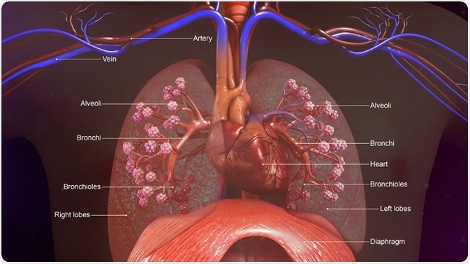 Resultado de imagen de del proyecto Hospital Microbiome