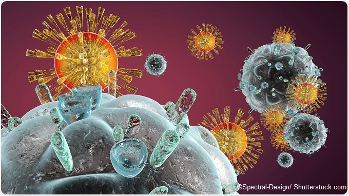 Cow immunization may lead to new human vaccines and treatments for HIV