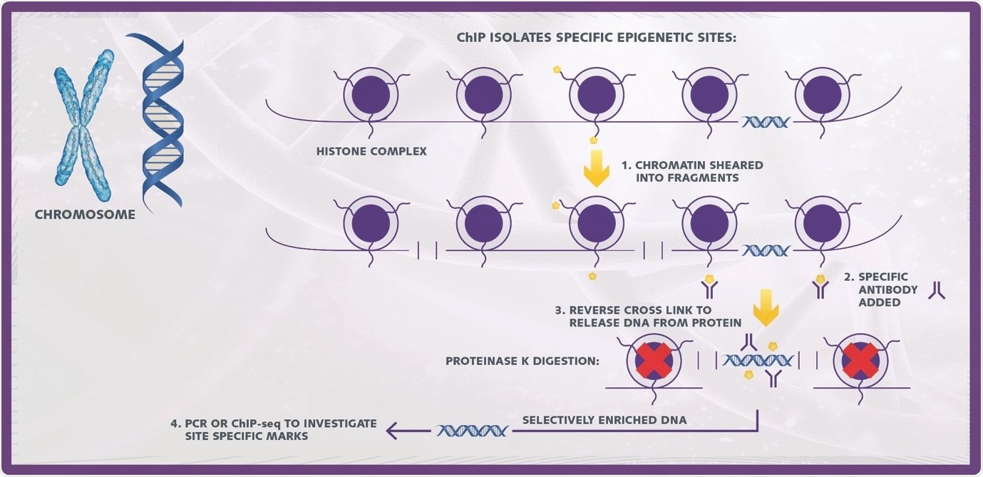 Успехи в вирусной эпигенетике