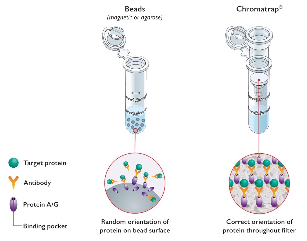 Успехи в вирусной эпигенетике