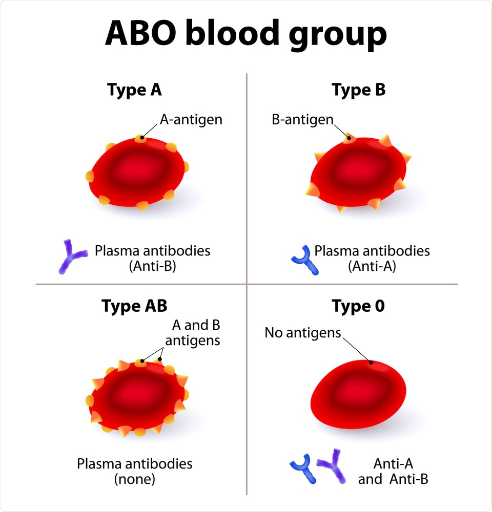 Study: The ABO blood group locus and a chromosome 3 gene cluster associate with SARS-CoV-2 respiratory failure in an Italian-Spanish genome-wide association analysis. Image Credit: Designua