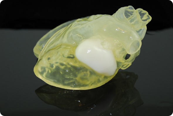 http://www.news-medical.net/image.axd?picture=3D printed heart_thumb.jpg