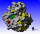 Static picture of the 3D model of the 2009 H1N1 neuraminidase and coloring as described above.