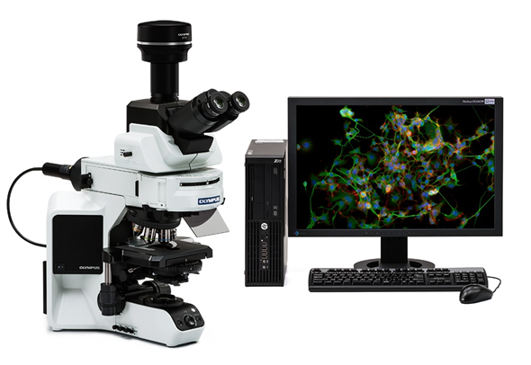 DP74 microscope and monitor