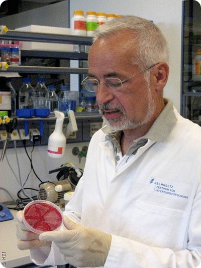 Hoefle Vibrio