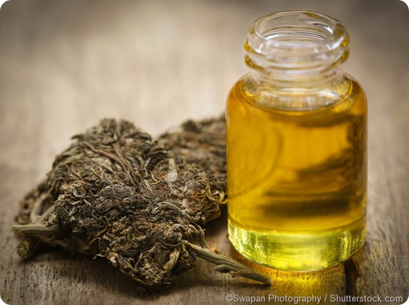 Medicinal cannabis oil