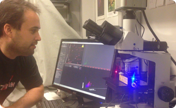 SpeClicks.aspx