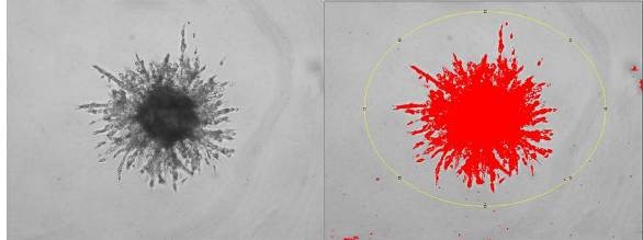 amsbiopr88-image - resized