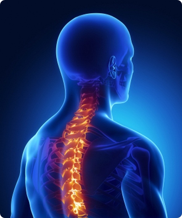 Backbone injury in x-ray