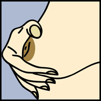 Flat Nipple Flat Nipple