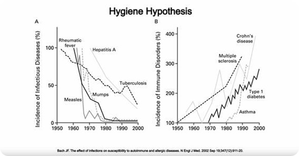 Hygenie hypothesis