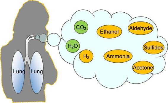 Conceptual image of component gases in a person's breath