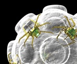 Construction will enable pSivida to increase BrachySil production