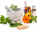 Study reveals how manufacturing methods affect herbal medicine potency