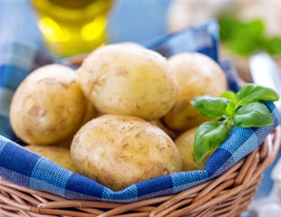 Ancient DNA reveals insights into starch digestion