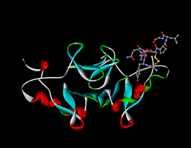 semaglutide ghrelin What is Ghrelin?