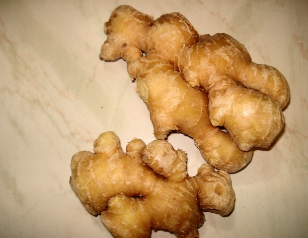 Wsu Researchers Use Spice Extracts To Enhance Medical Bone Implants