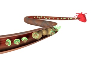 Specialized blood vessels enable effective immune defense against cancer metastases