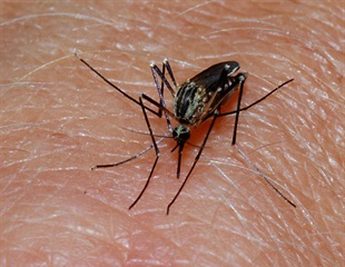 WHO prequalifies first malaria treatment designed for youngest vulnerable patients