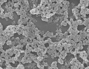 Magnetic microrobots deliver stem cells to heal spinal cord injuries