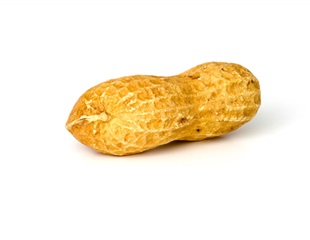 New Mount Sinai center focuses on advancing personalized treatments for peanut allergy