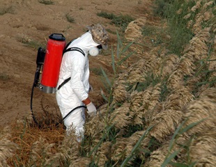 Preconception pesticide exposure linked to poorer newborn health outcomes