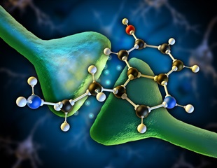 Scientists determine structure of key protein in neuronal communication