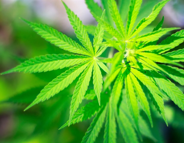 Medical cannabis benefits for insomnia remain uncertain, Cochrane review finds