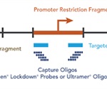 Untangling the Web of Gene Expression