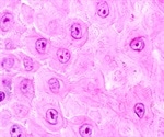 What are Cadherins?