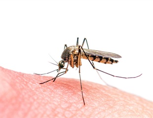Plant-based mosquito repellent offers effective alternative to DEET lotions