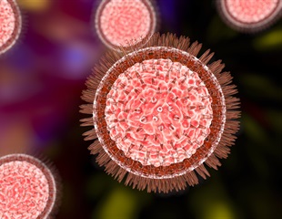 UC San Diego researchers receive CIRM grants to advance studies on Zika virus and cancer