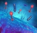 Synthetic biology platform unmasks hidden bacterial targets of bacteriophages