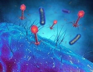 Synthetic biology platform unmasks hidden bacterial targets of bacteriophages