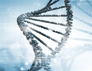 New method helps scientists better understand DNA organization